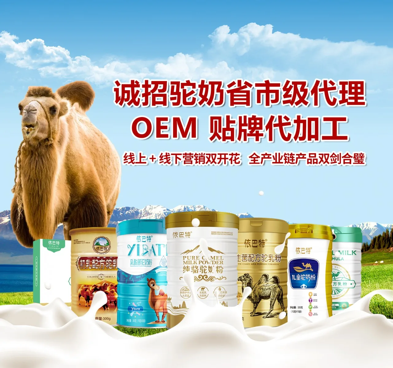 常力奶粉的产业链密码:从四平奶源到成人奶粉代工的品质逻辑